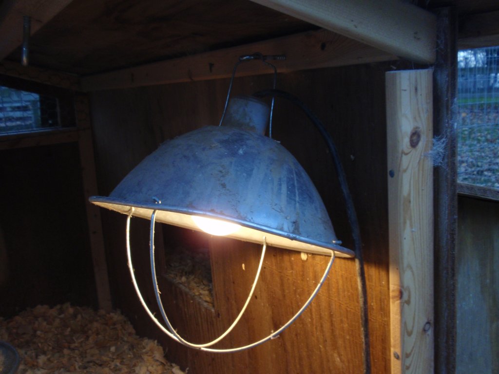 Chicken Coop Light